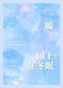 国王在冬眠第五步