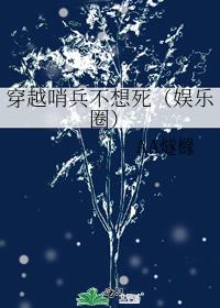 穿越哨兵不想死(娱乐圈)byAA 穿越哨兵不想死(娱乐圈)byAA