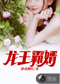 龙王霸婿 龙王霸婿