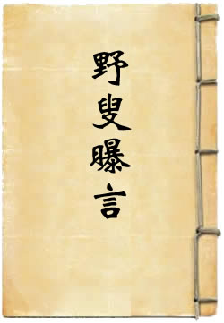 野叟曝言 野叟曝言